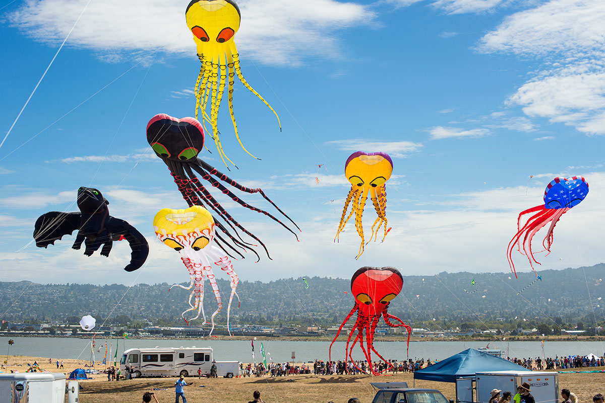 Let’s Go Fly a Kite at the Berkeley Kite Festival