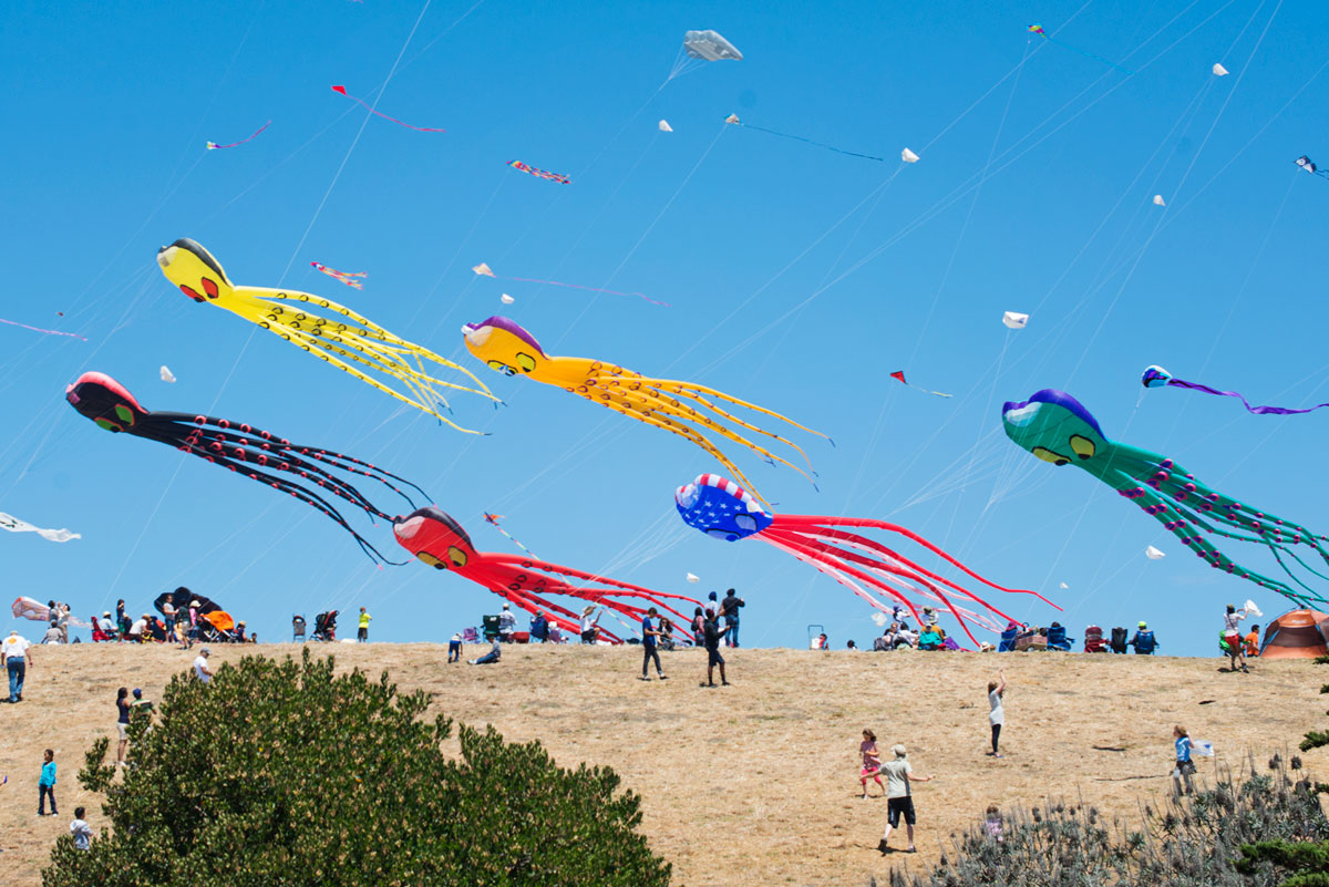 Cesar Chavez Park Berkeley Kite Festival