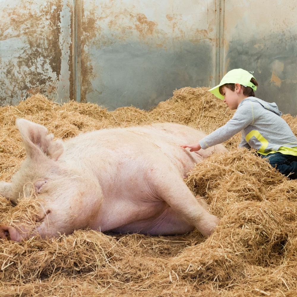 Animal Place Sanctuary and Education Center