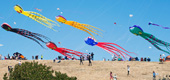 Let's Go Fly a Kite at the Berkeley Kite Festival!